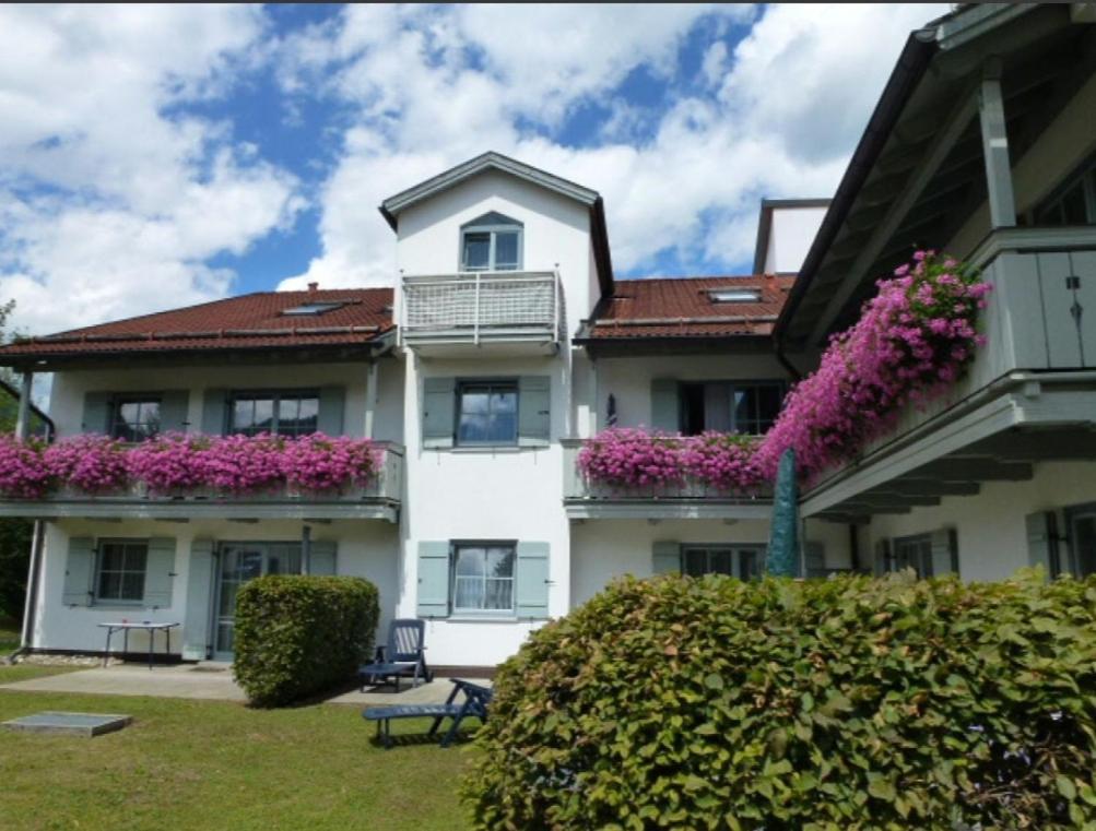 Ferienwohnanlage Bruennstein Wohnung 54 Oberaudorf Ngoại thất bức ảnh